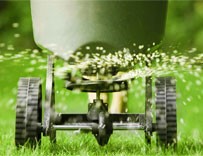 Fertilization Services